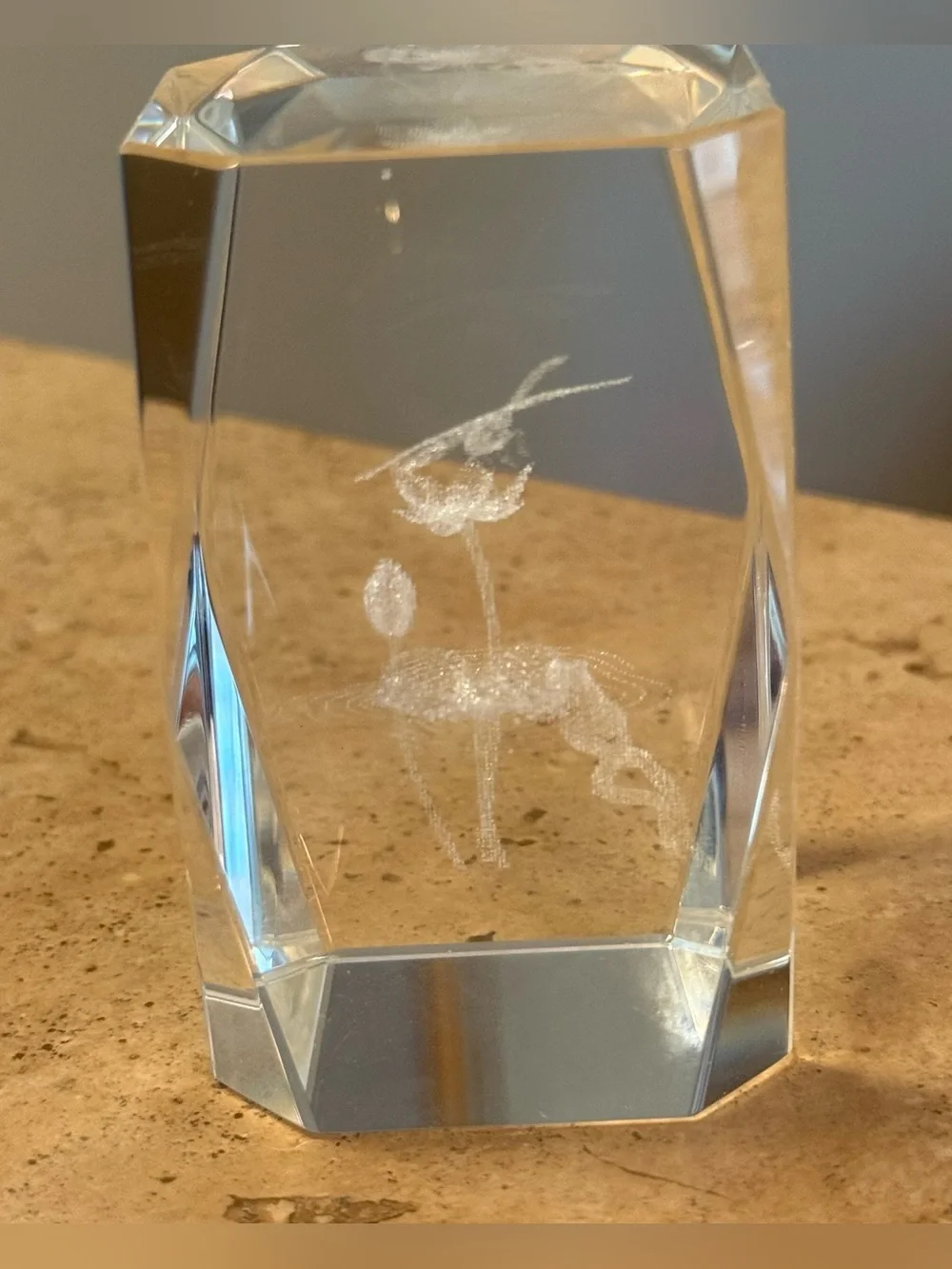 Vintage 3D Laser Etched Crystal Glass Frog, Dragonfly and Flower Paperweight